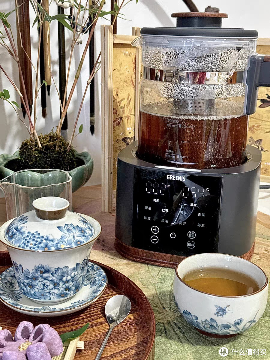 格丽思GREENIS煮茶器煮茶壶喷淋式家用养生壶泡茶用烧水纯钛蒸汽